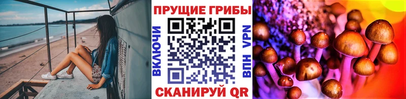 мега маркетплейс  Невель  Галлюциногенные грибы ЛСД 