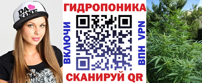 МАРИХУАНА OG Kush  купить наркотики цена  Невель 